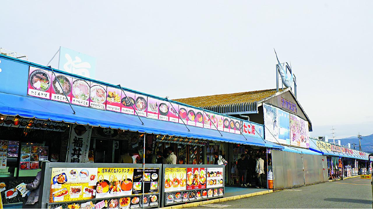 福井敦賀 越前蟹季節