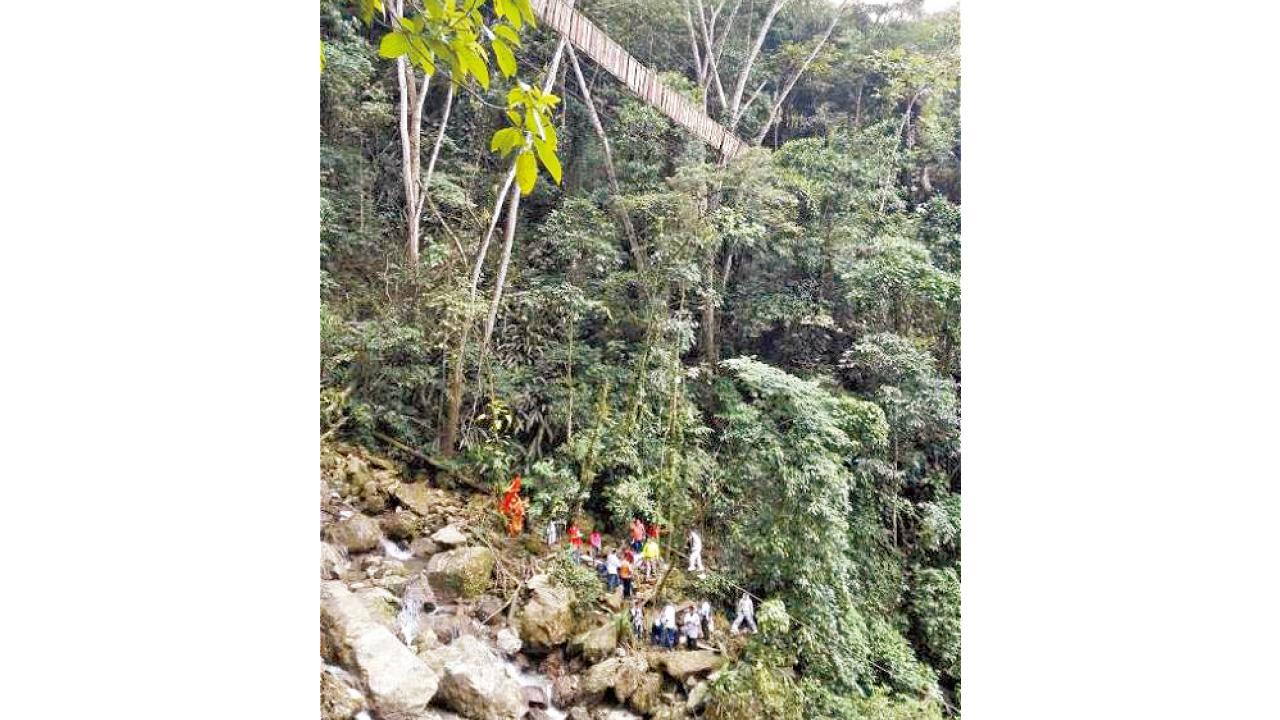 遊客太多負荷過重 哥國吊橋翻側11死14傷