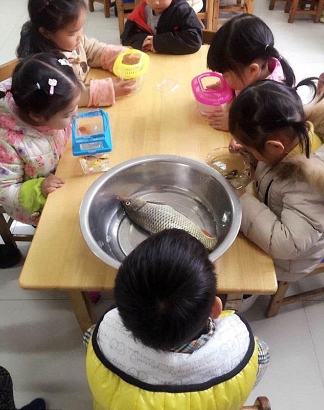 孩子天空想像無窮 