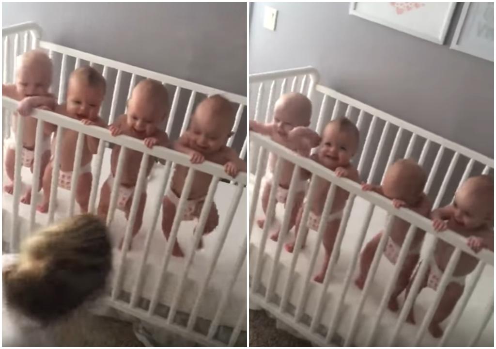 勁得意！ 四胞胎連環笑笑笑 (有片)