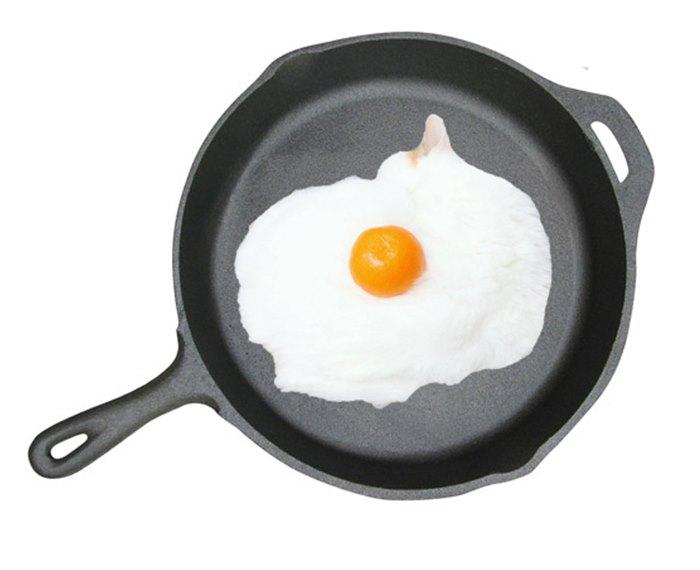 「貓咪荷包蛋」變改圖萬能Key