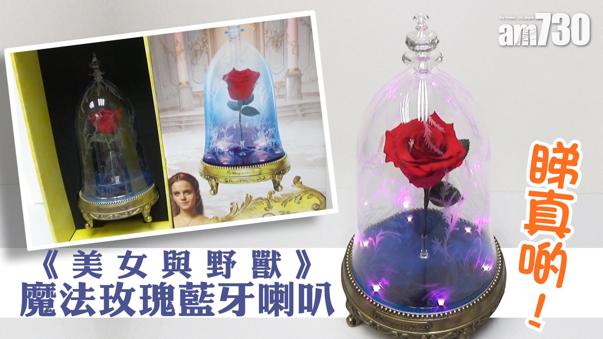 《美女與野獸》魔法玫瑰藍牙喇叭睇真啲