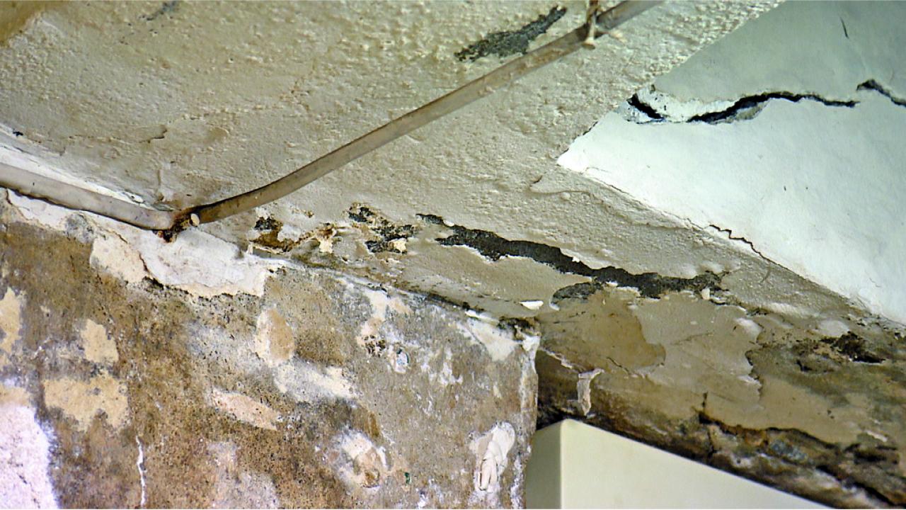 [特稿]樓上滲水含尿液 僭建劏房疑為禍因