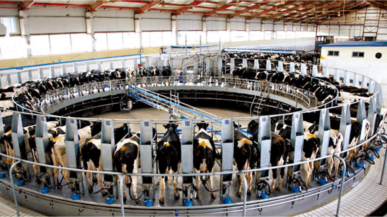 粵運交通擬發A股集資 現代牧業發5億人幣融資券