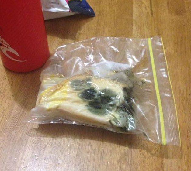 細路唔執書包 父母搵到發霉麵包三文治