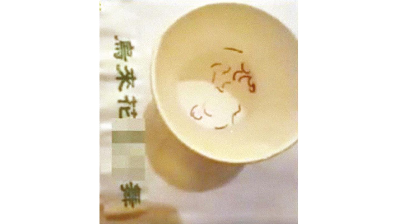 烏來溫泉驚現活蟲 老闆稱證明天然無害