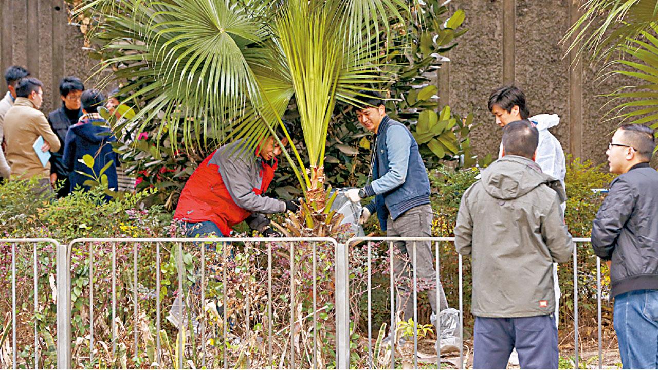 九龍灣天橋底驚現年長男性骸骨