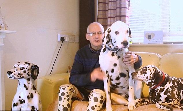 人犬加埋10條斑點腿……