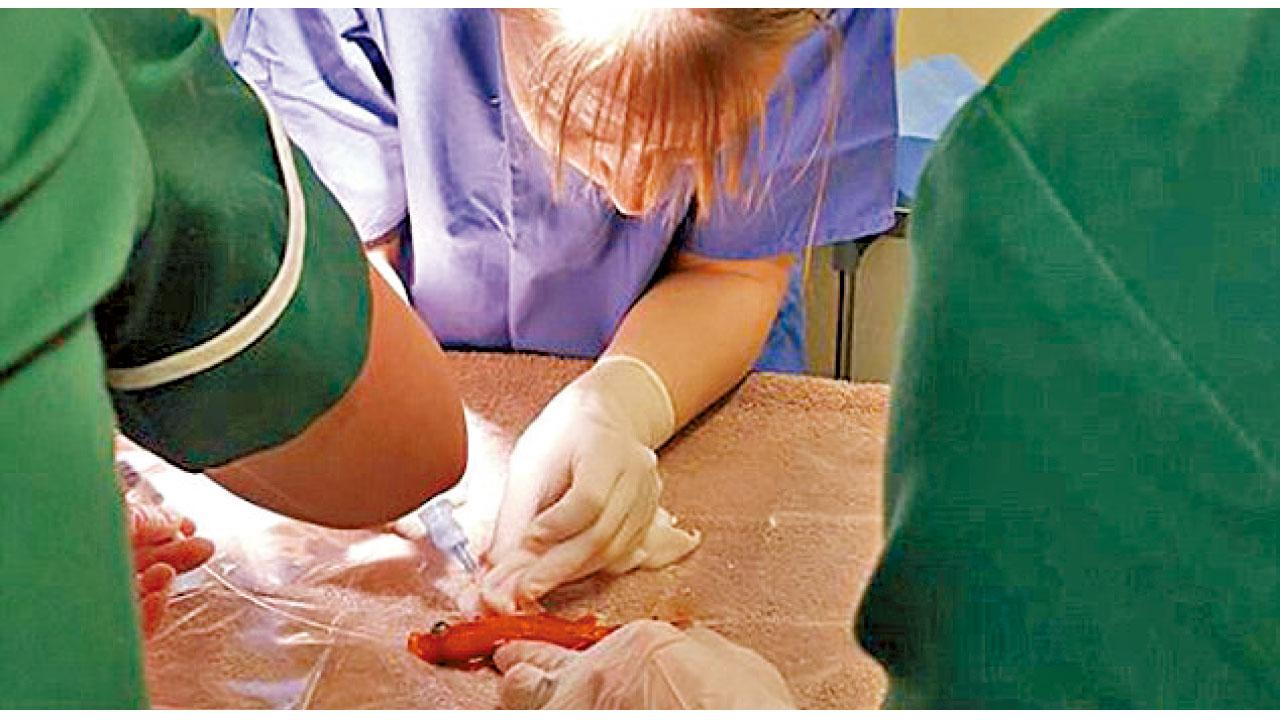 20歲魚瑞割瘤延壽