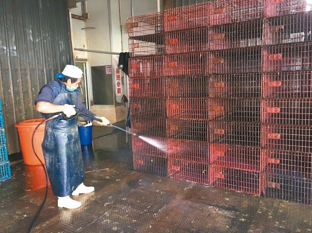 台H5N6禽流感擴大 台南3900隻火雞暴斃