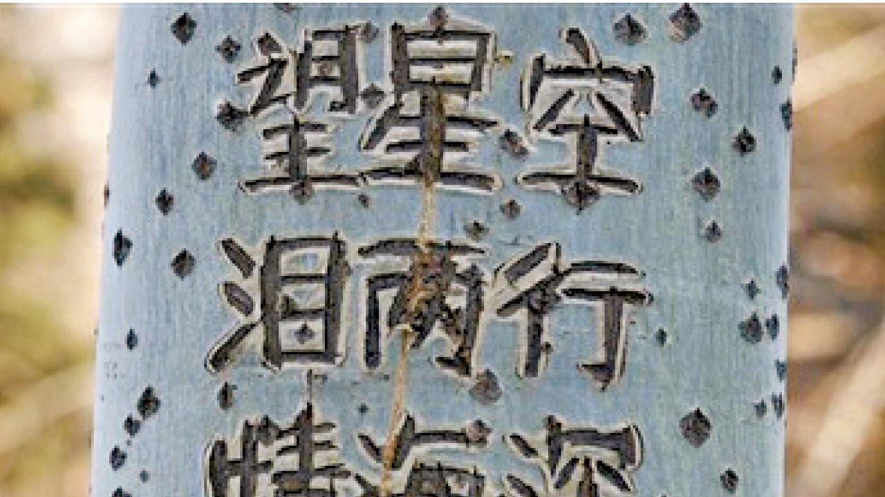 樹幹當「愛的日記」 遼寧男刻字4年毀19棵樹