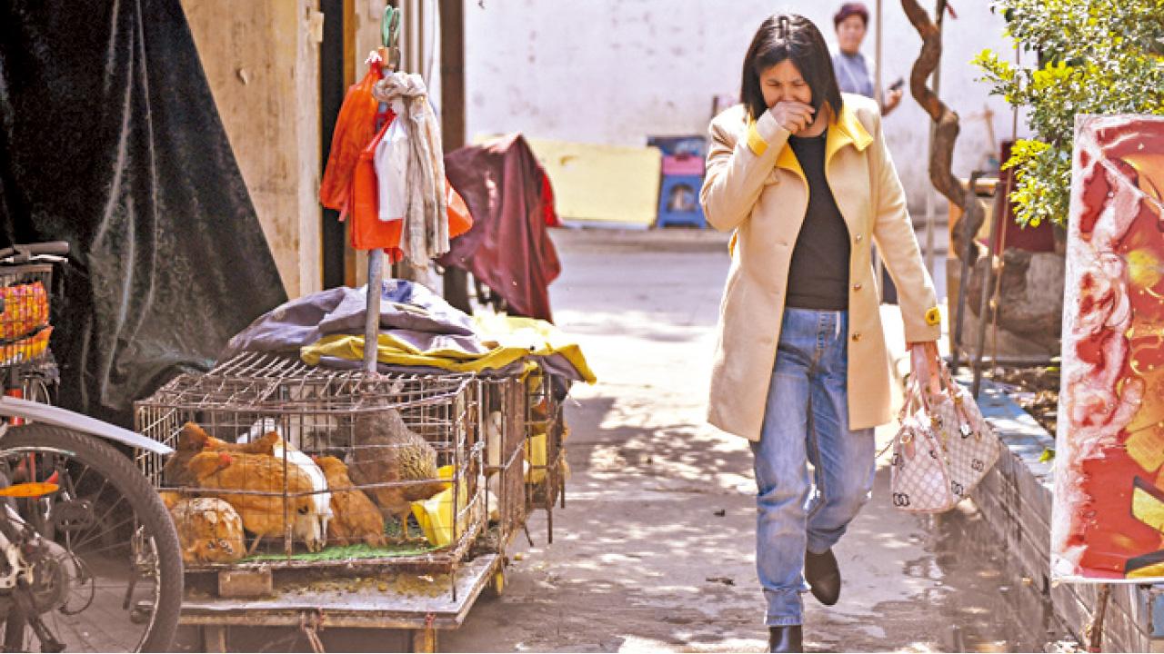 安徽今年20人染H7N9亡 省衛計委稱錯過治療時間