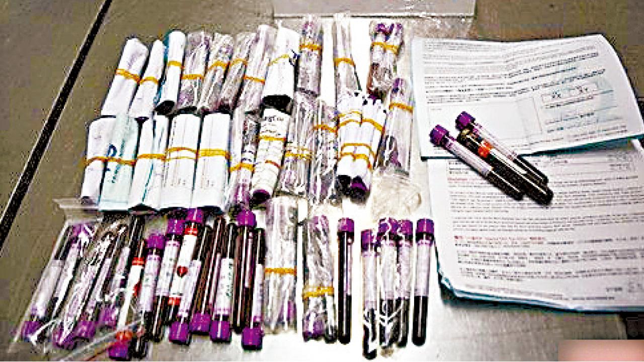 羅湖5日截2港人 檢173支孕婦血