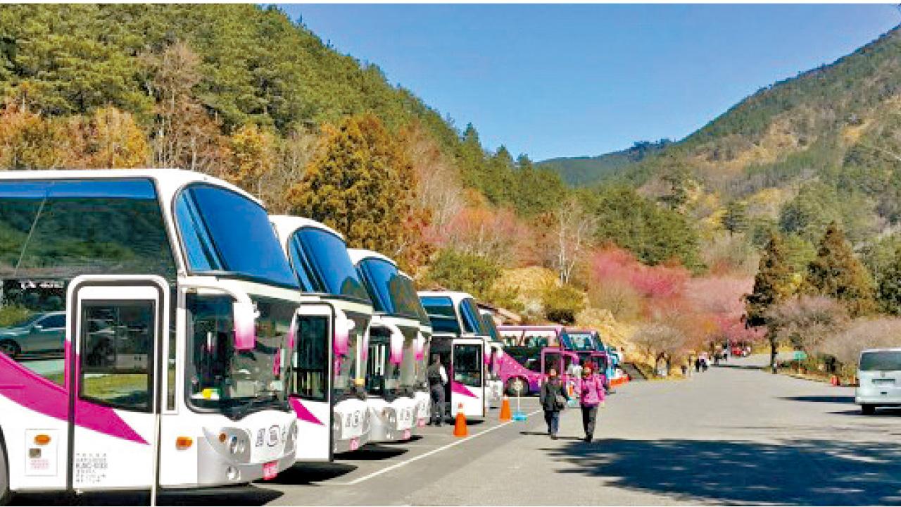 旅巴行駛里程設限 台觀光局禁辦長途一日遊