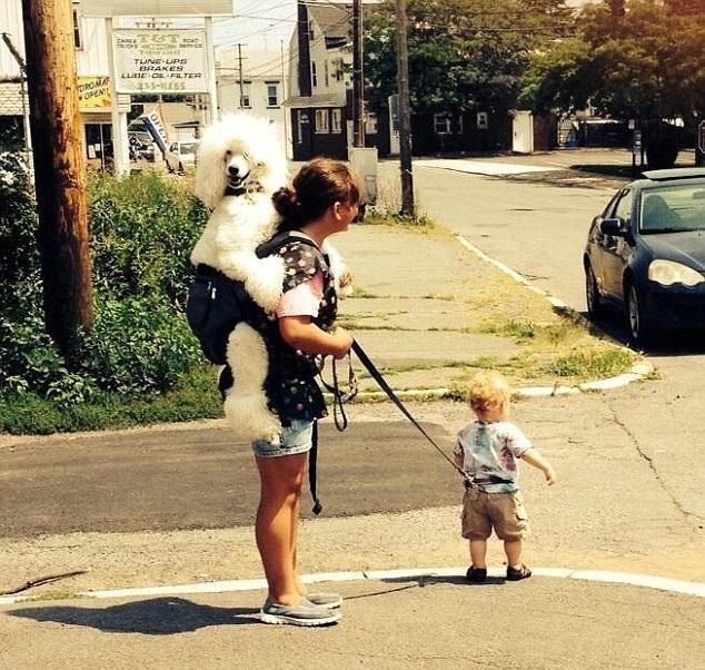 陰差陽錯 笑料成籮