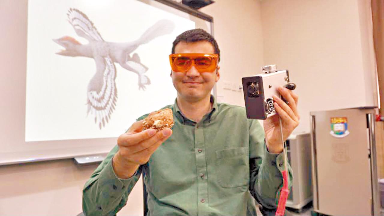 港大首用激光技術  侏羅紀近鳥龍現真身