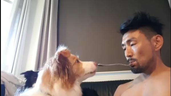 芹菜、青瓜與叉 狗狗討厭邊樣？ (有片)