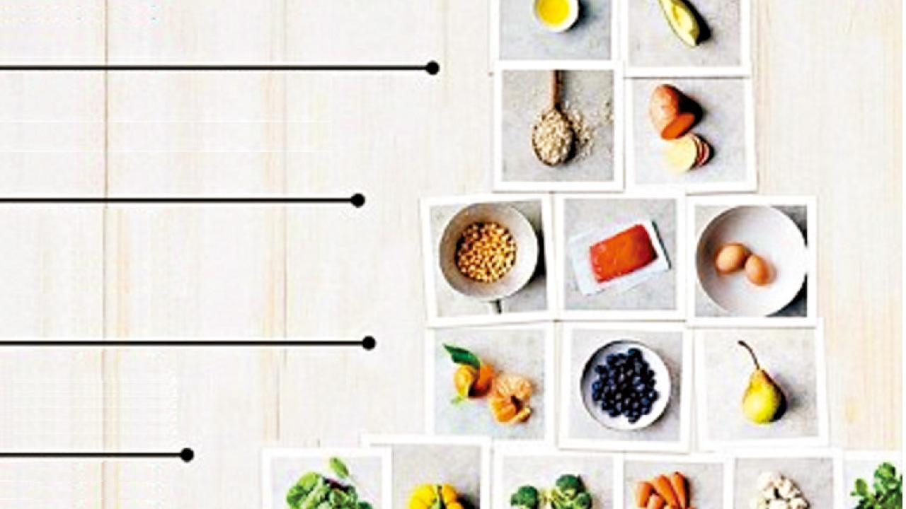 燒脂營養金字塔