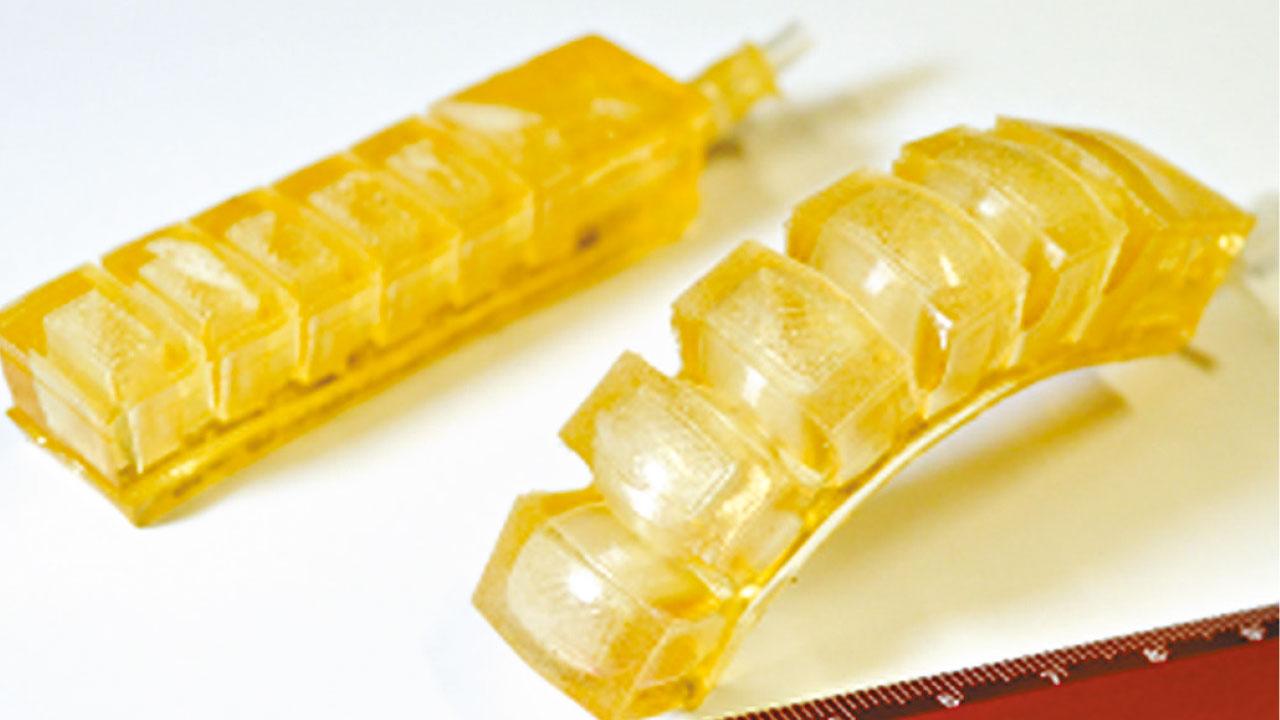 瑞士研發可食用機械