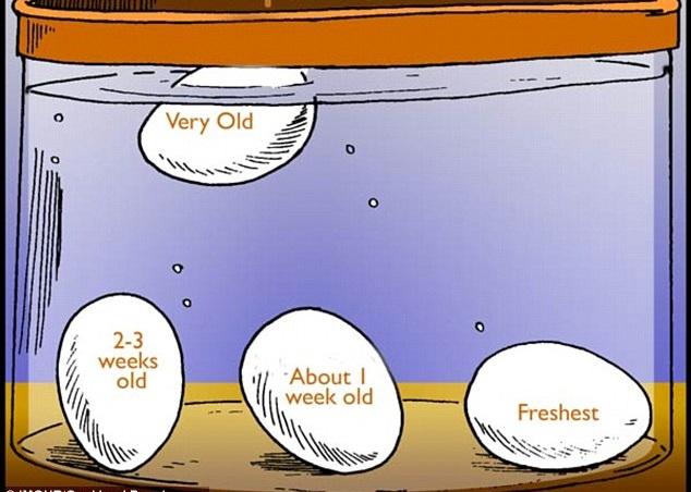 壞蛋好蛋 誰主浮沉