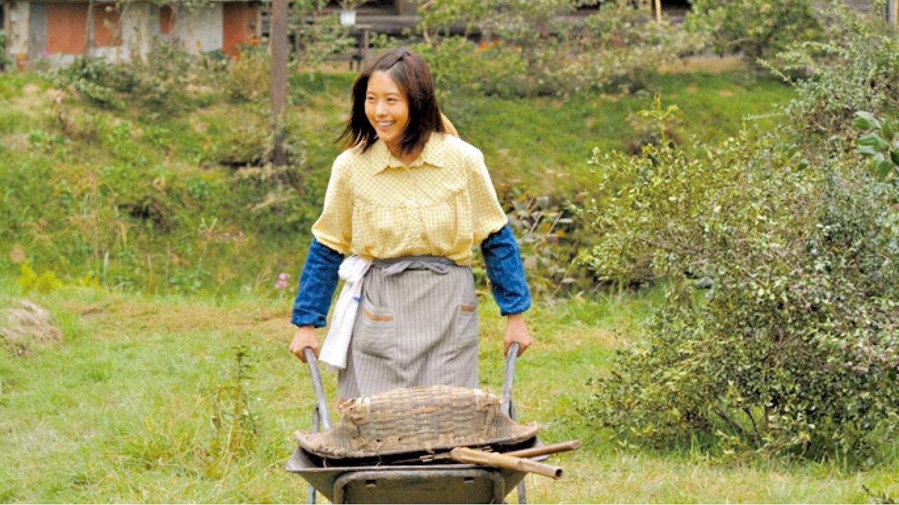 有村架純新劇收視低