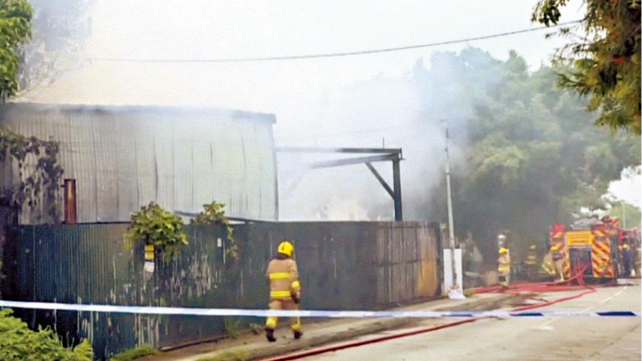 八鄉木廠大火  寵物用品倉9隻貓疑被焗死