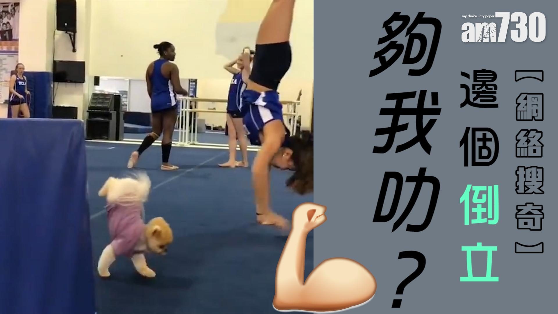 邊個倒立夠我叻？