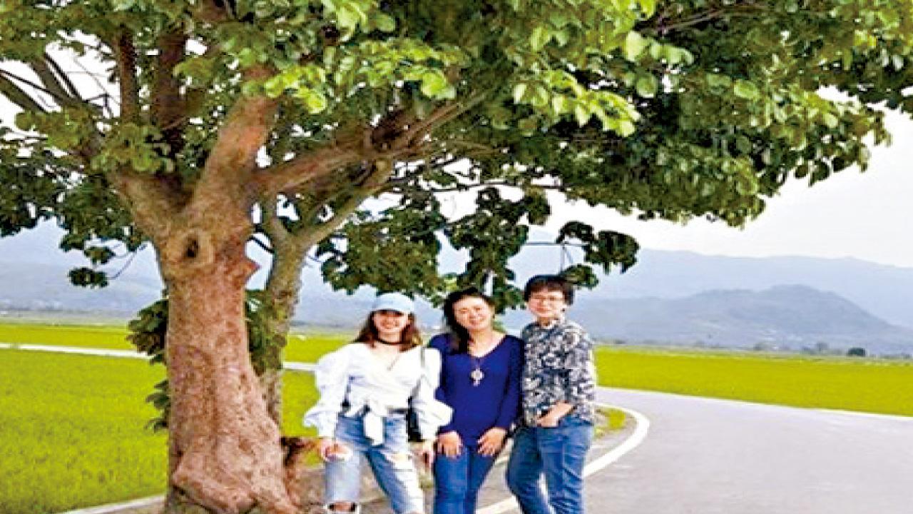 台東伯朗大道添「蔡依林樹」