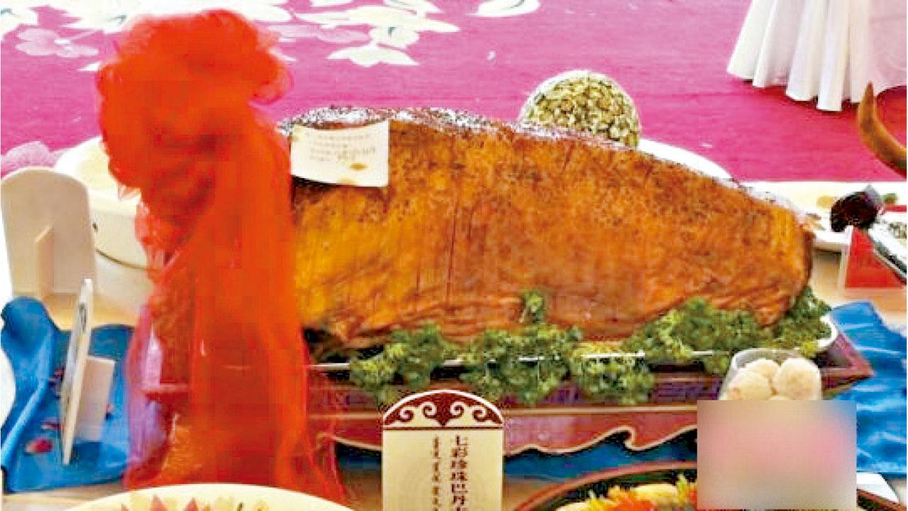 內蒙餐飲飯店協會宣布 第九大菜系「蒙餐菜系」面世