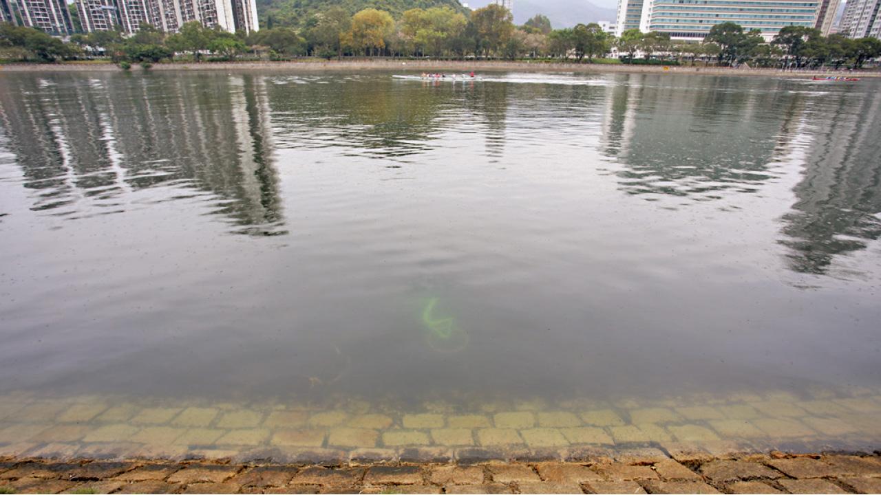 警列刑毀案調查 共享單車再遭扔城門河