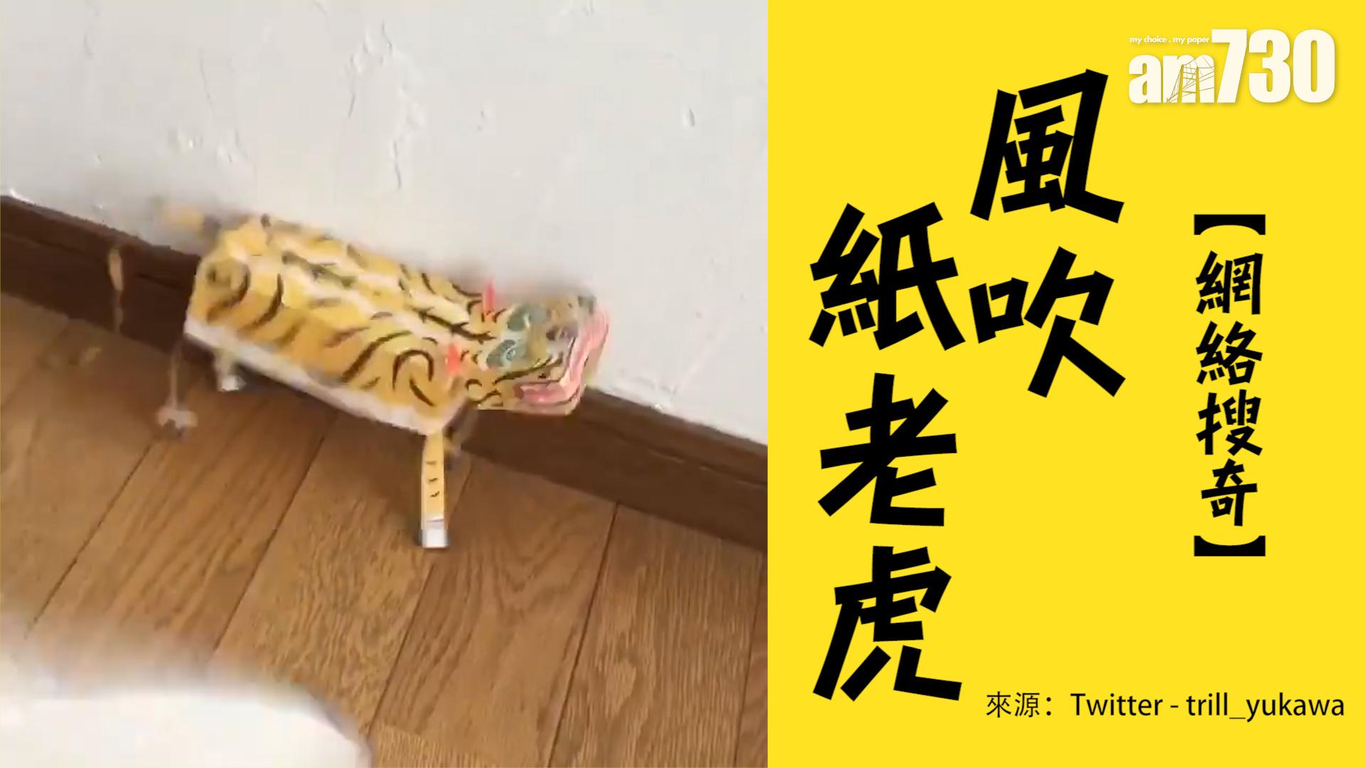風吹紙老虎 