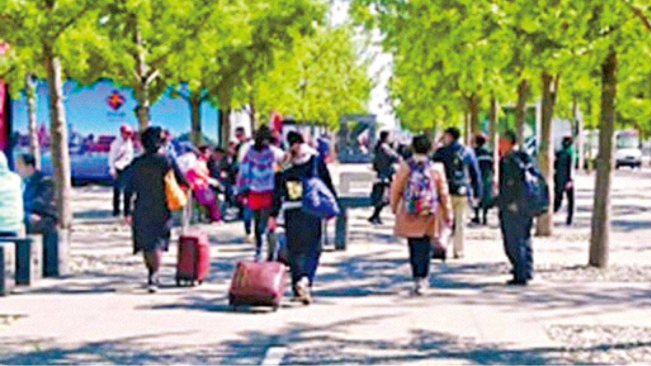 騙徒聲稱赴京領5萬慈善金  警闢謠難阻受害者湧入