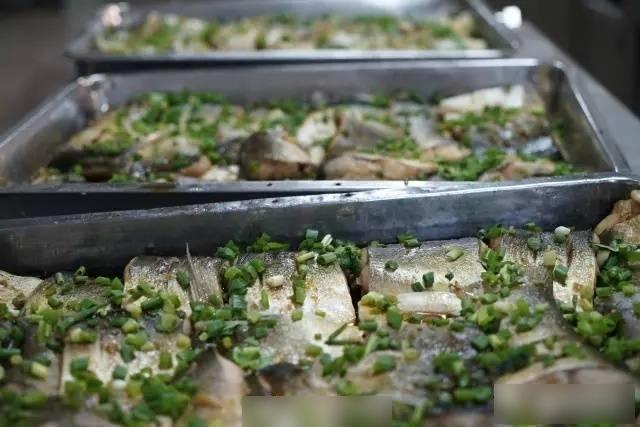 廣西一大學起撈3000斤魚 供師生免費吃