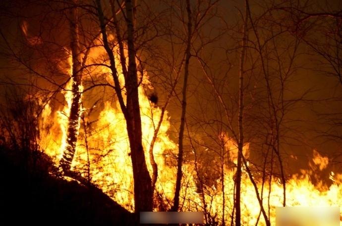 內蒙大興安嶺森林大火 逾8300人參與撲救