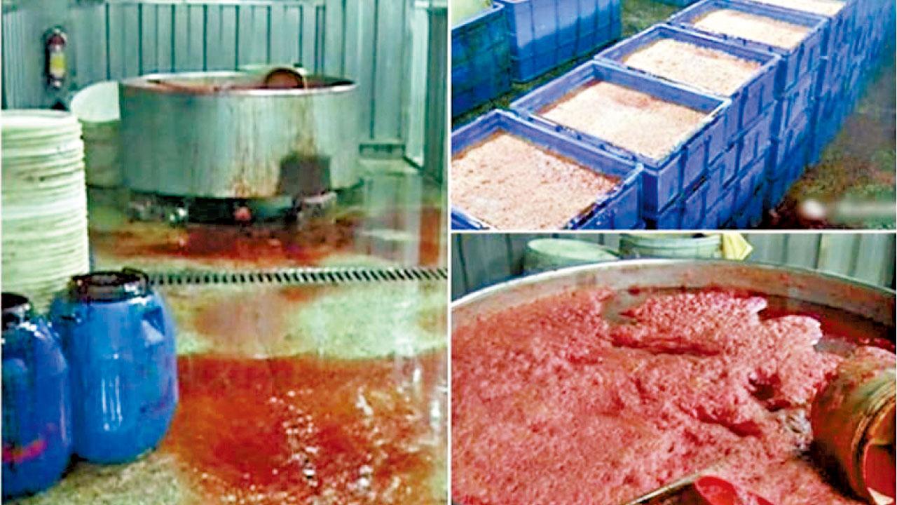 保賣相新鮮 深圳毒豬紅滲甲醛明礬