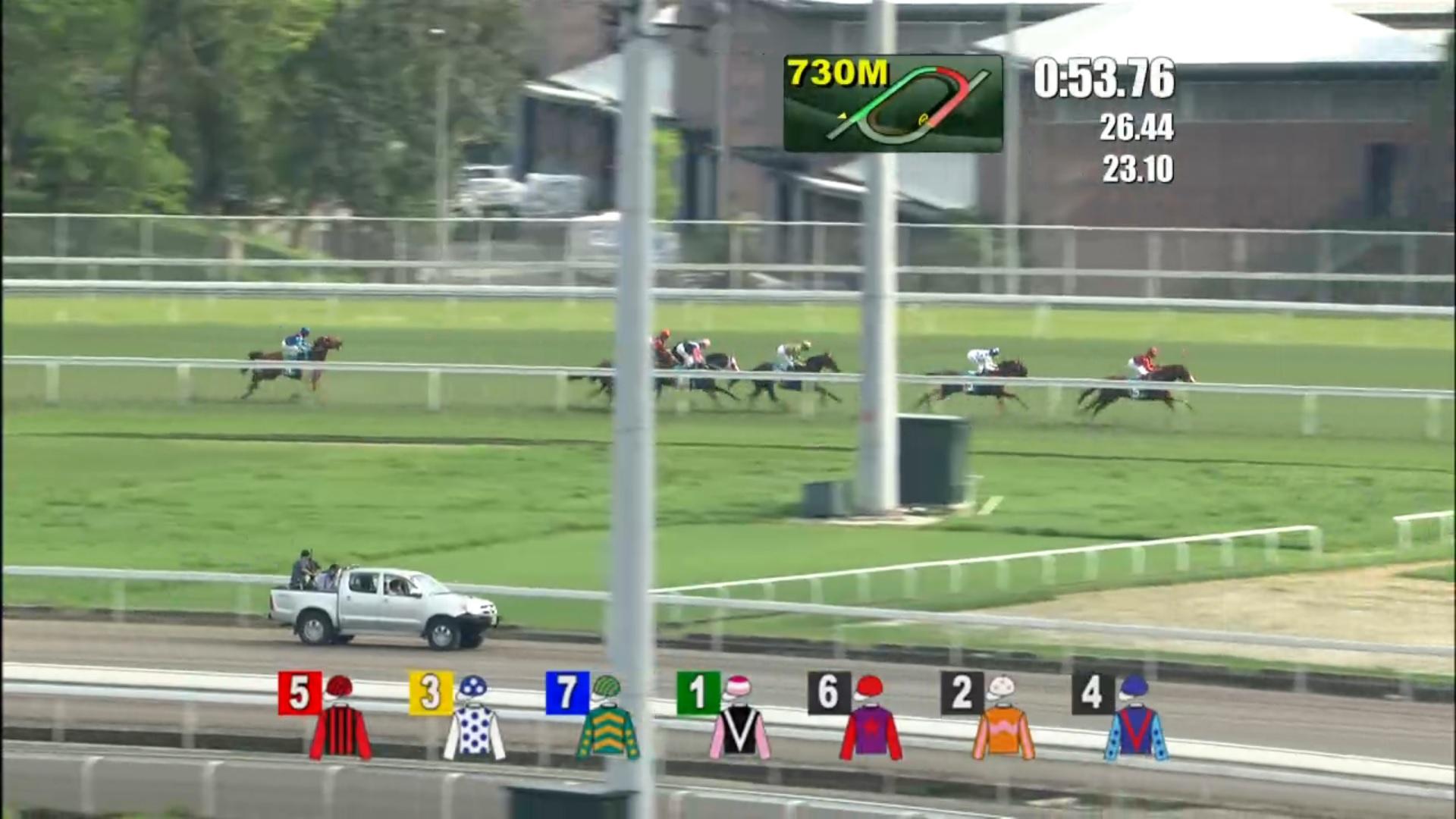 三冠王佳龍駒 盤骨骨裂不治