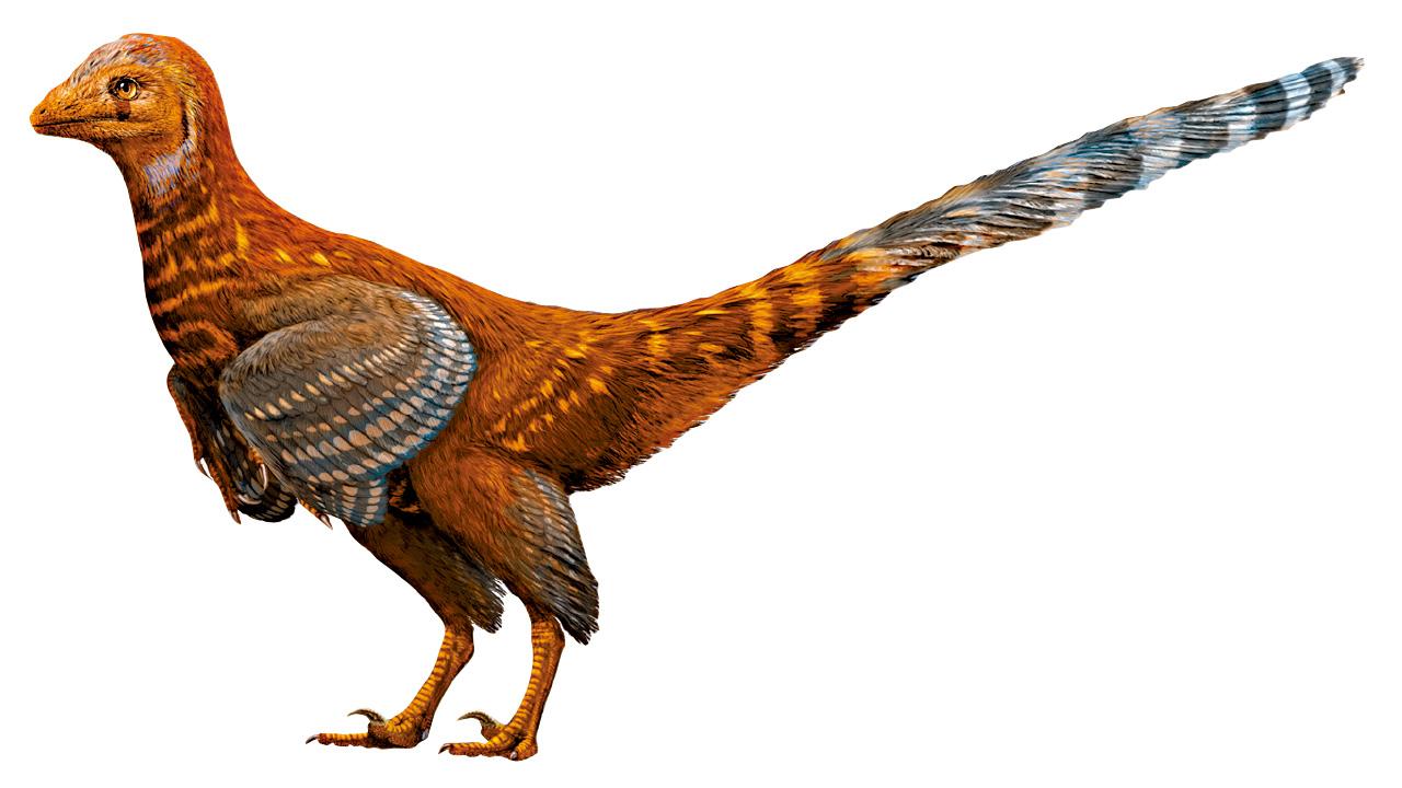 港大學者發現新品種似鳥恐龍  滕氏嘉年華龍以館長命名