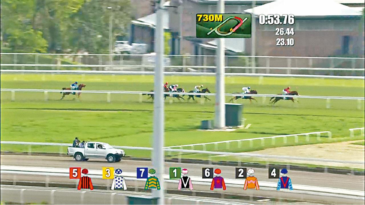 三冠王佳龍駒 盆骨折裂不治