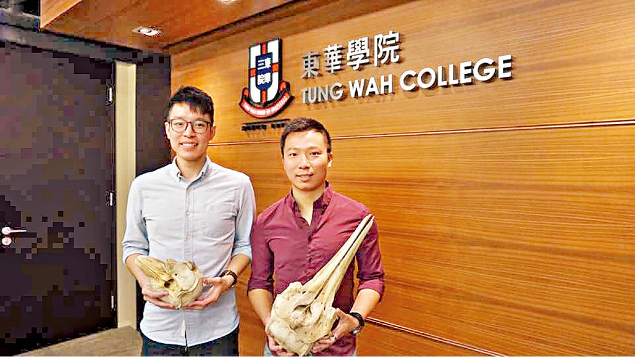 影像解剖技術應用於鯨豚  東華學院師生︰既省時又準確