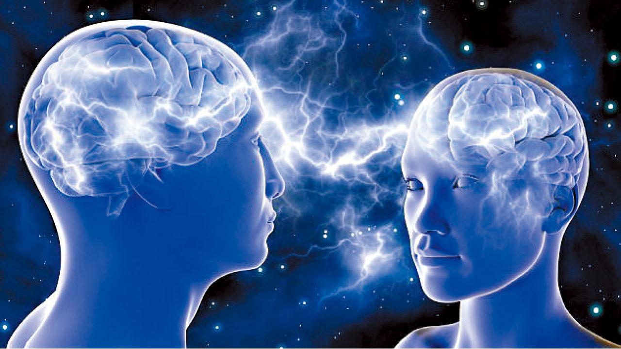 荷蘭鬥智研究 男腦較大 IQ勝女人