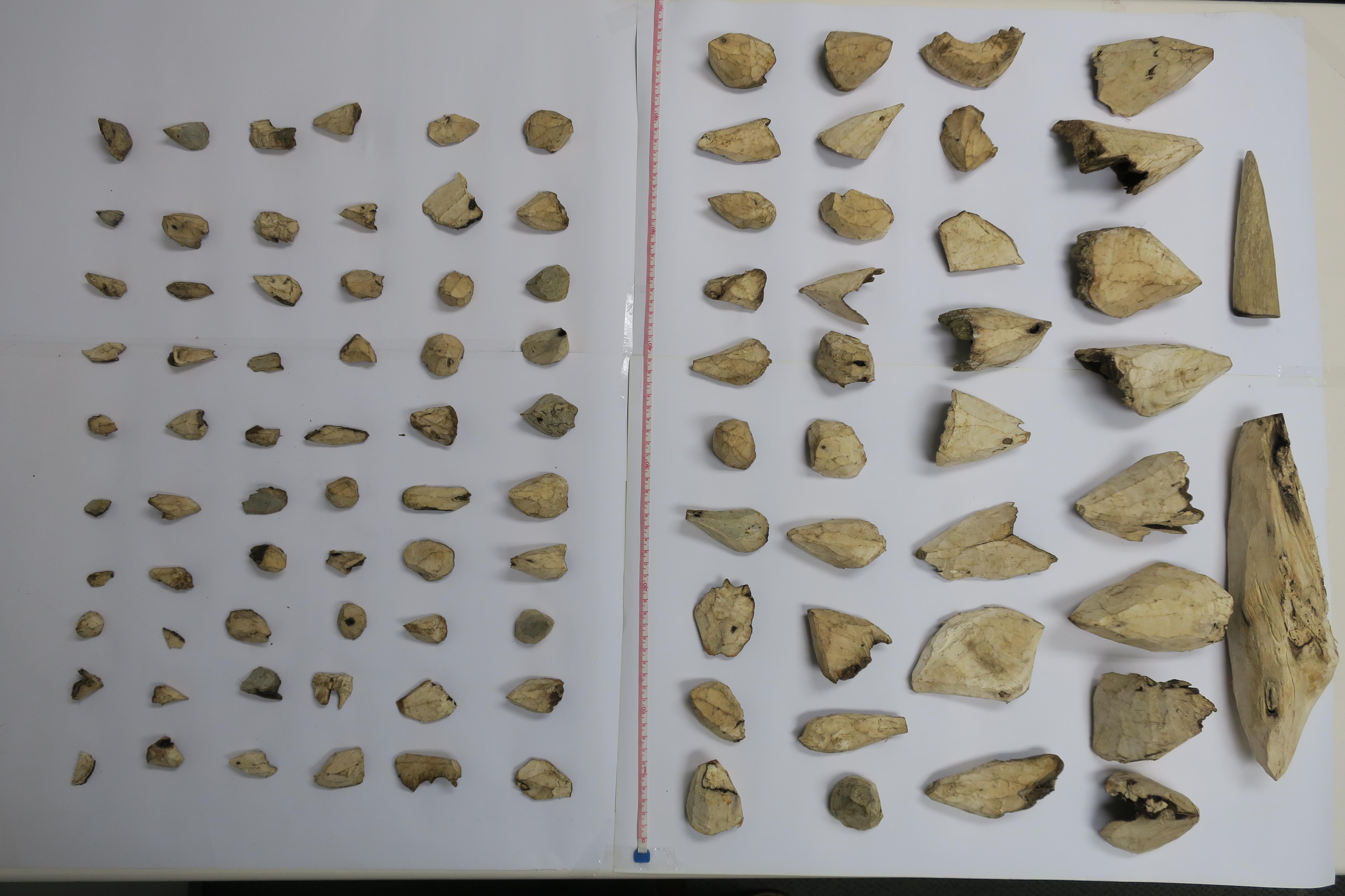 男旅客疑非法出口懷疑土沉香