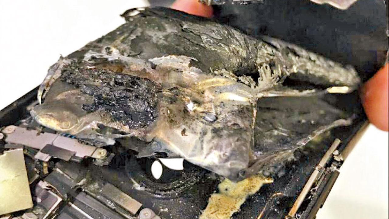 iPhone7來電突爆炸 玻璃碎插爆英漢手指