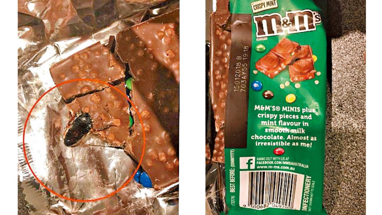 澳男聲稱吃4塊始見「加料」M&M's爆曱甴羅生門 