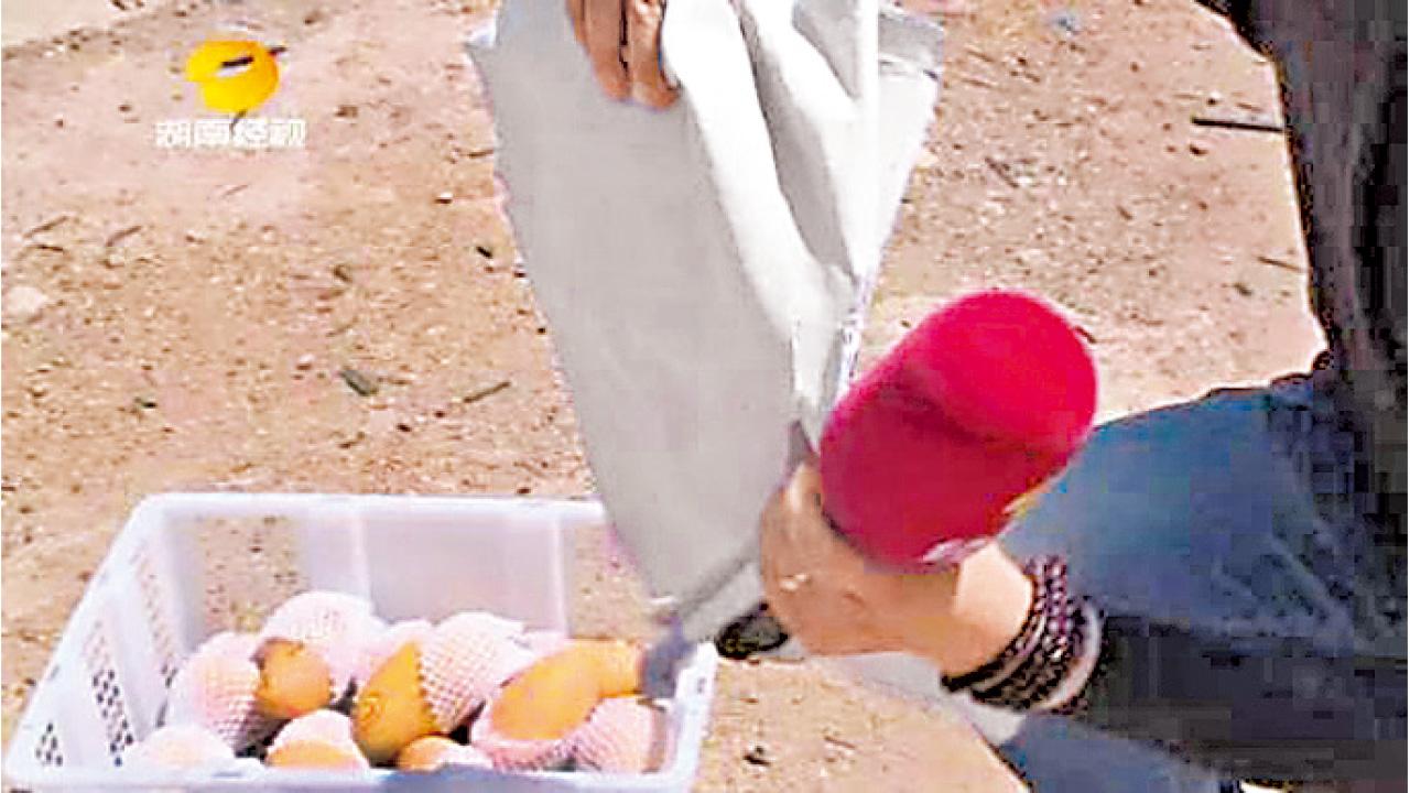 塞紙皮呃秤 原箱芒果實重僅六成