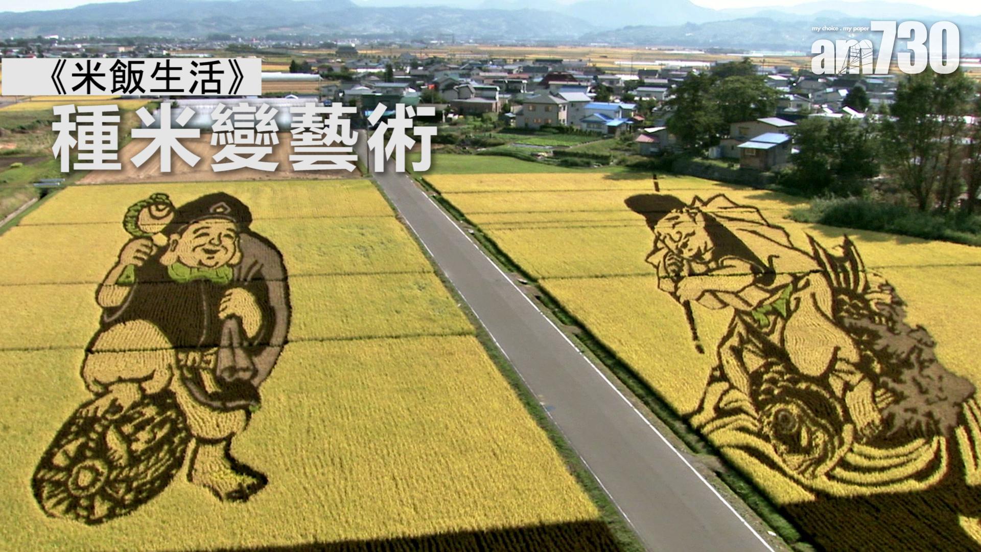 《米飯生活》種米變藝術