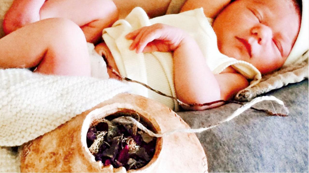 蓮花生免剪臍帶  BB盡吸胎盤精華