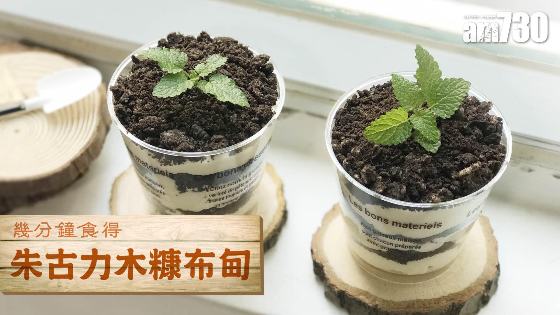 朱古力木糠布甸