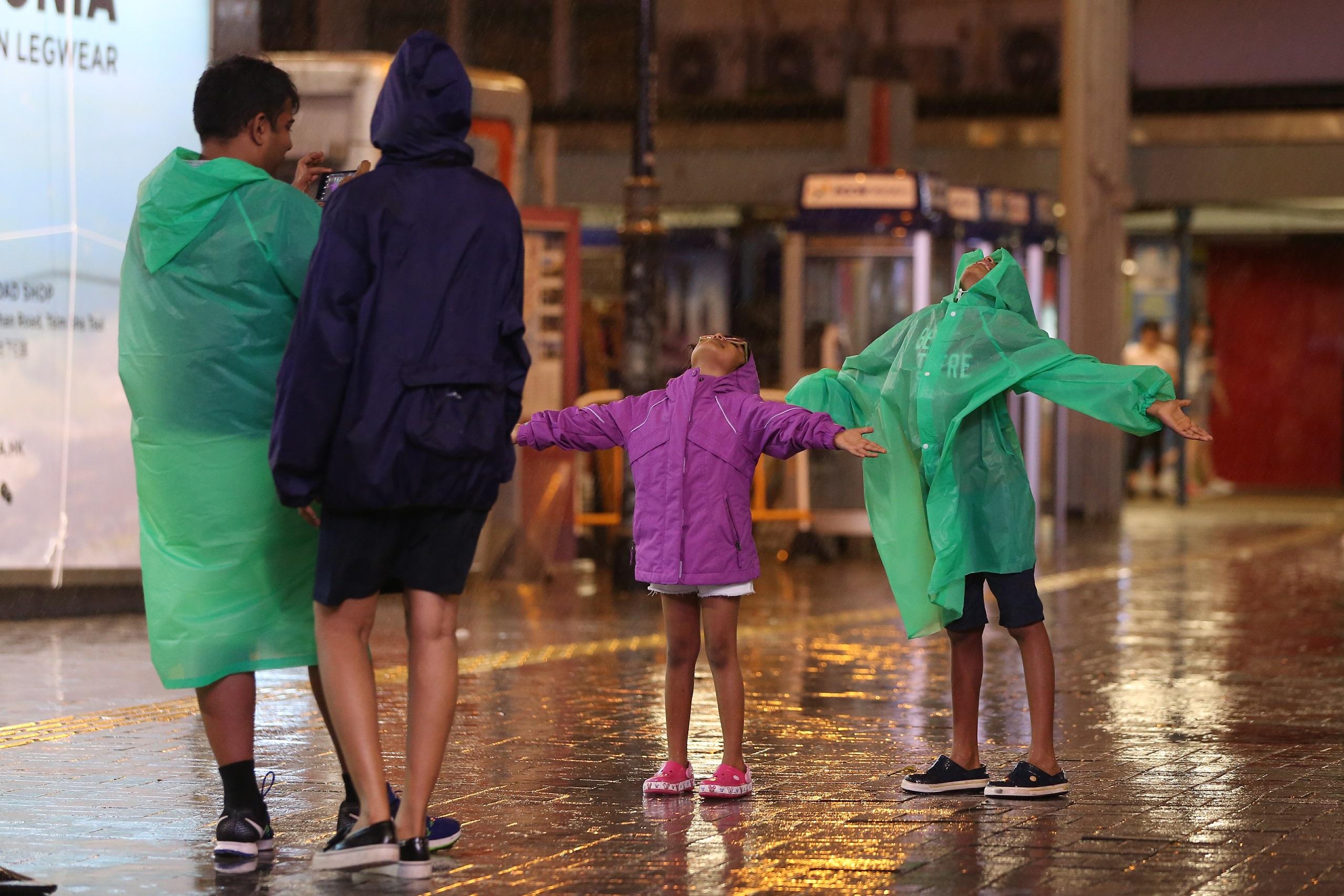 當局收5宗塌樹報告