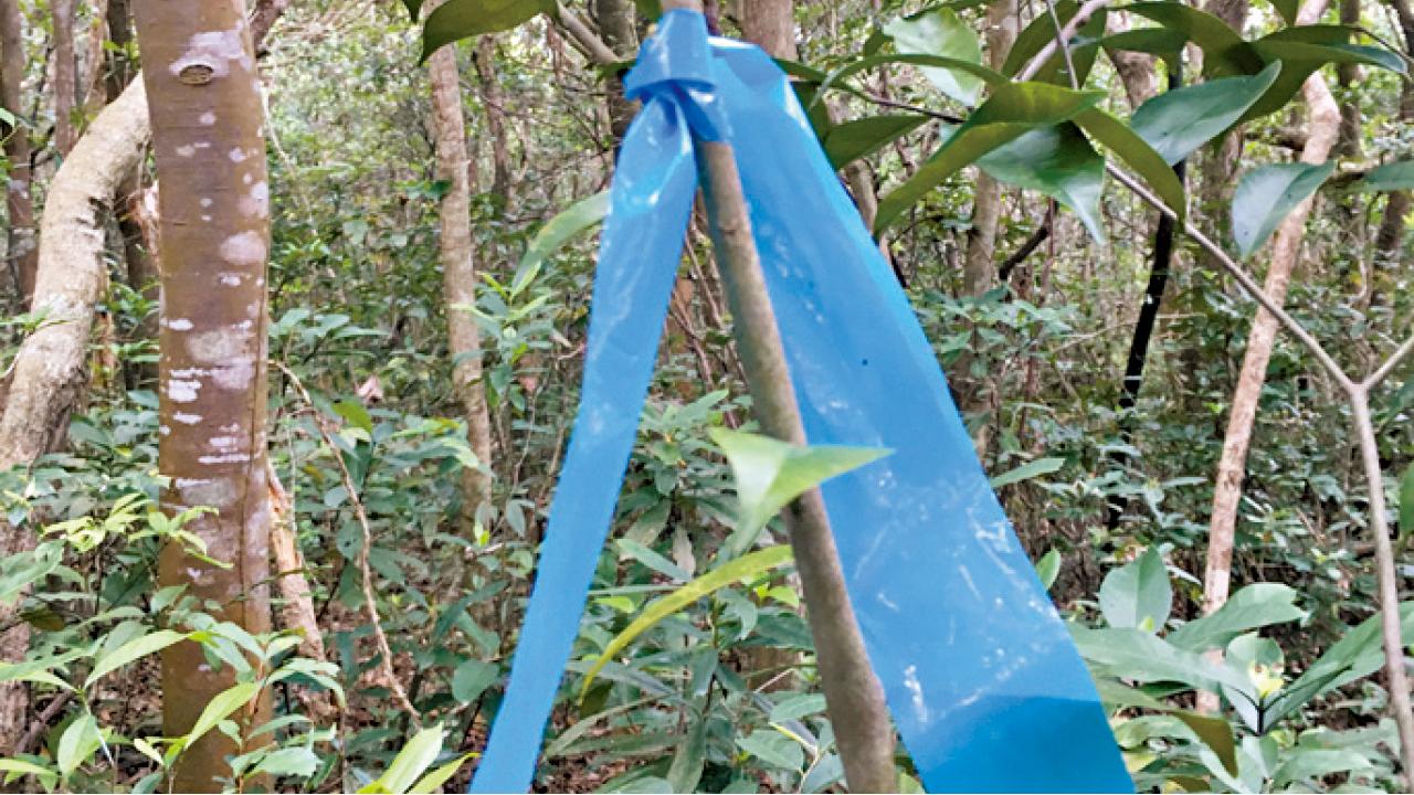 Environment~自己路標自己收