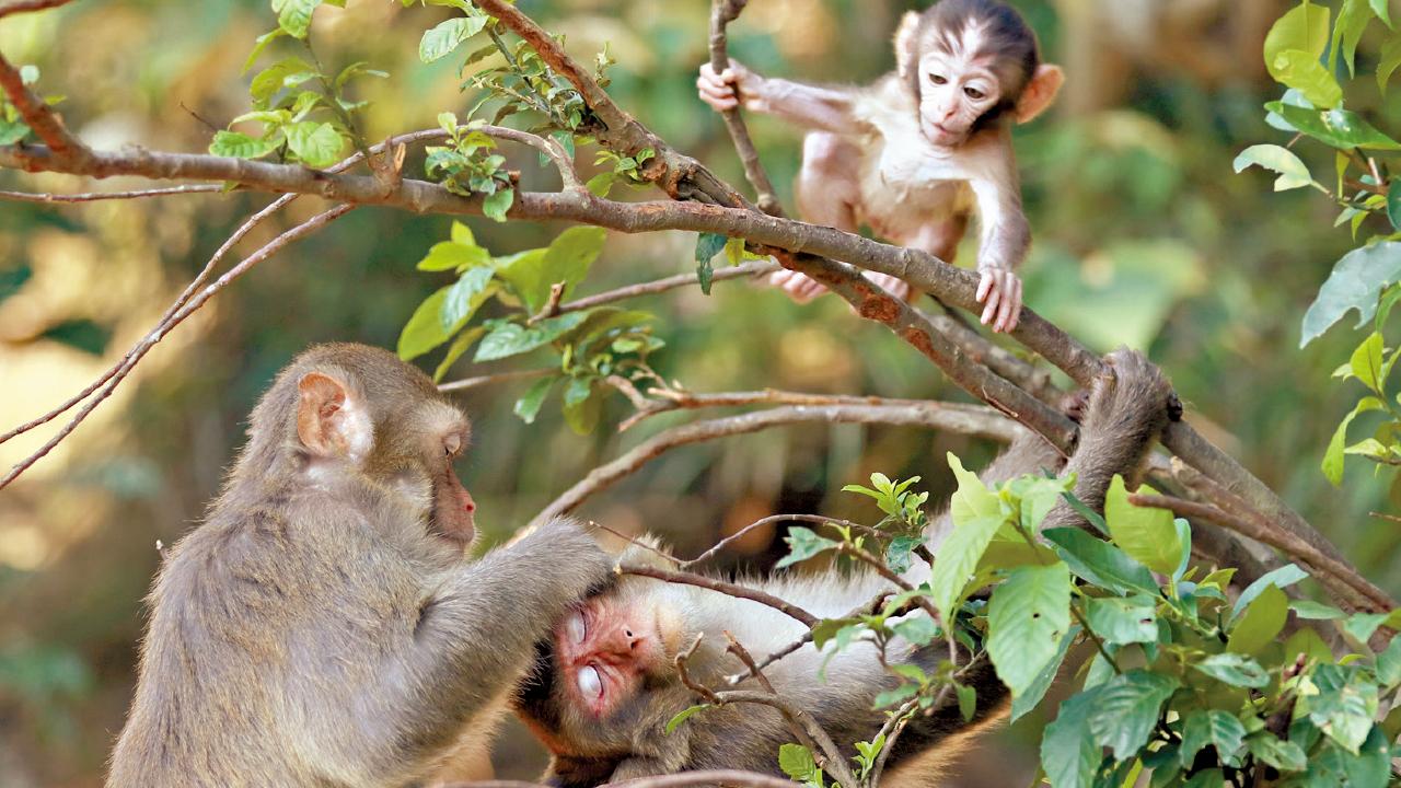 [VISUAL]歡樂時光